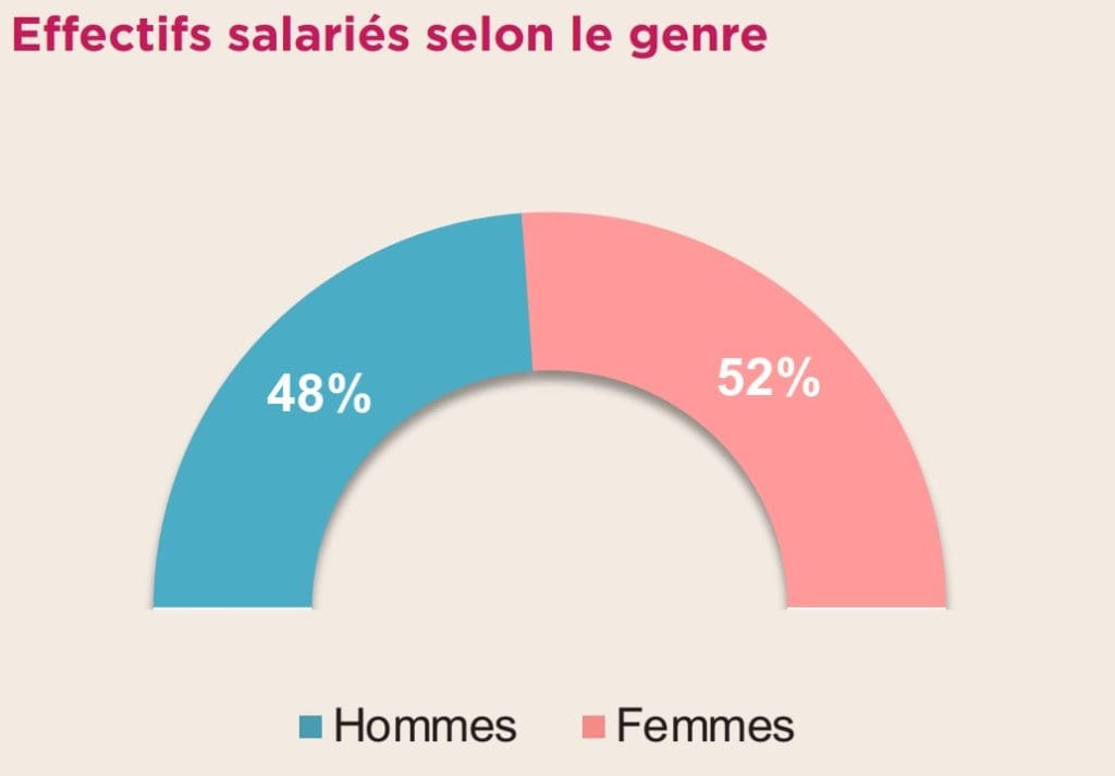 Branche 2020 Effectifs salarie selon le genre - UNPDM