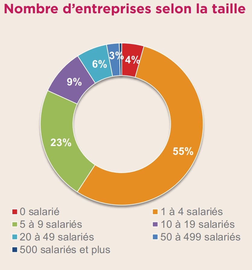 Branche 2020 Nombres dentreprises selon la taille 2 - UNPDM